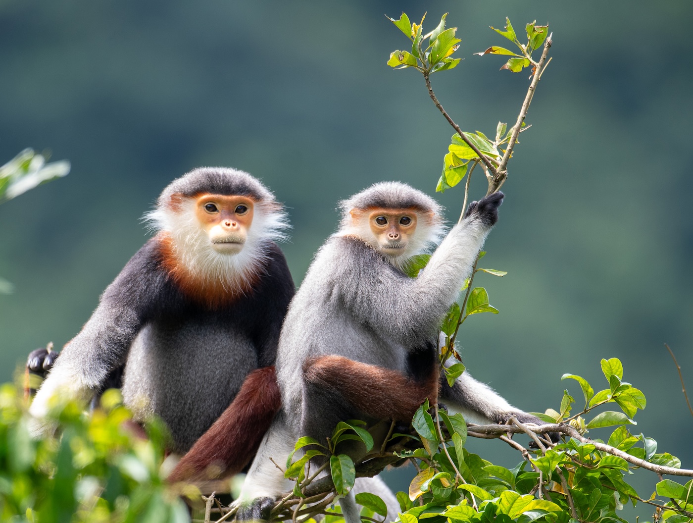 Wildlife photo 1