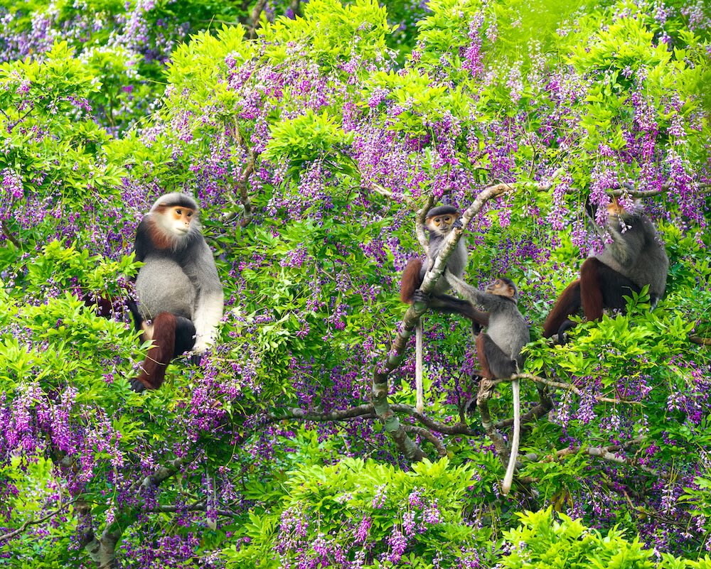 Wildlife photo 14