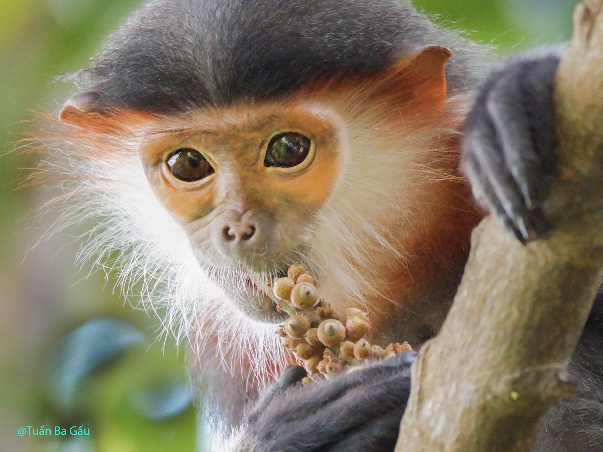 Wildlife photo 9